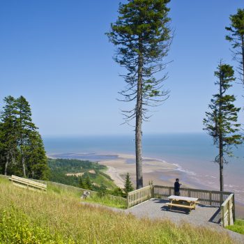The Fundy Trail