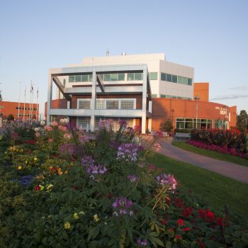 A flowerbed at The Dieppe City Hall