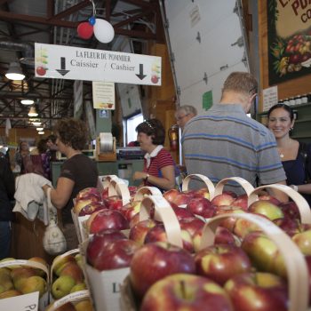 Apples showcased at the Dieppe Farmer's Market