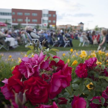 Flowerbeds at Downtown Dieppe