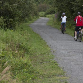 People cycling on a trail
