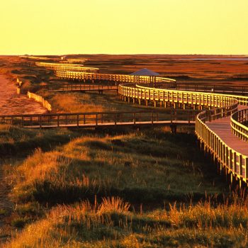 Kouchibouguac National Park walkway